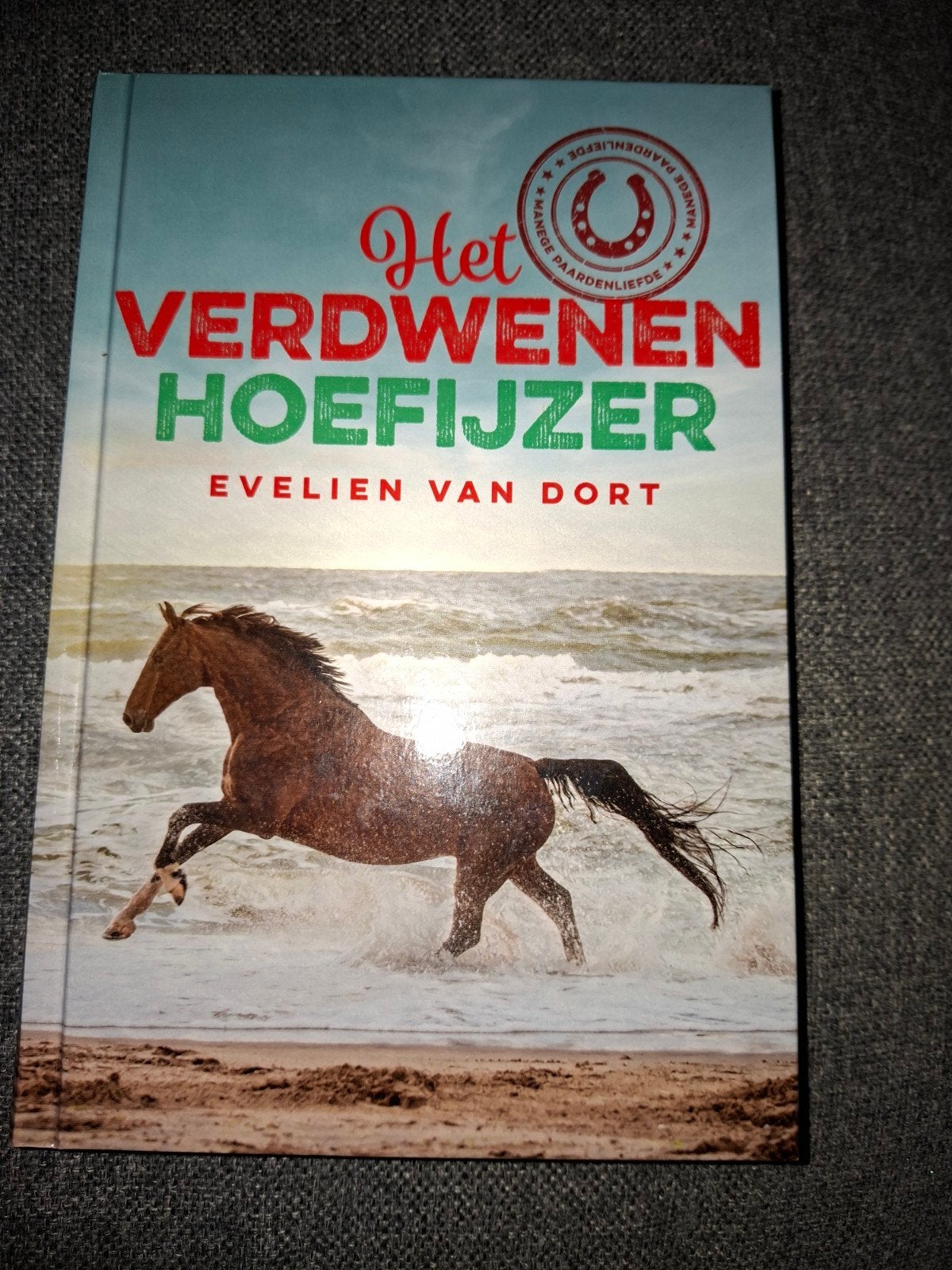 Evelien van Dort - Het verdwenen hoefijzer, Ophalen of Verzenden, Zo goed als nieuw, Evelien van Dort