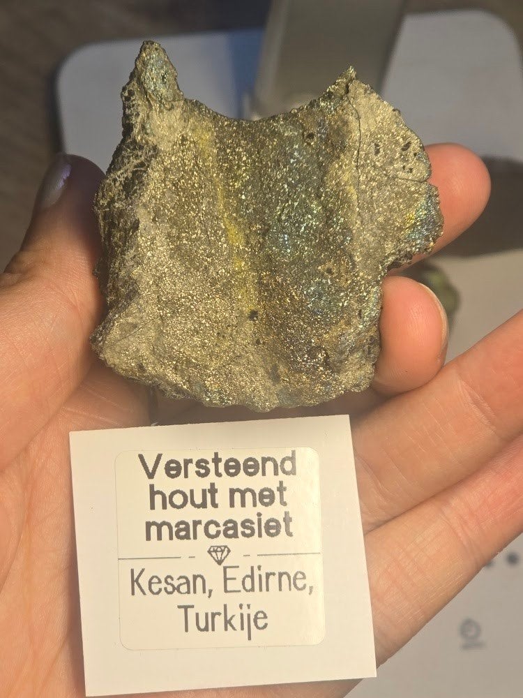 eldzaam versteend hout met regenboogmarcasietkristal, Ophalen of Verzenden, Mineraal