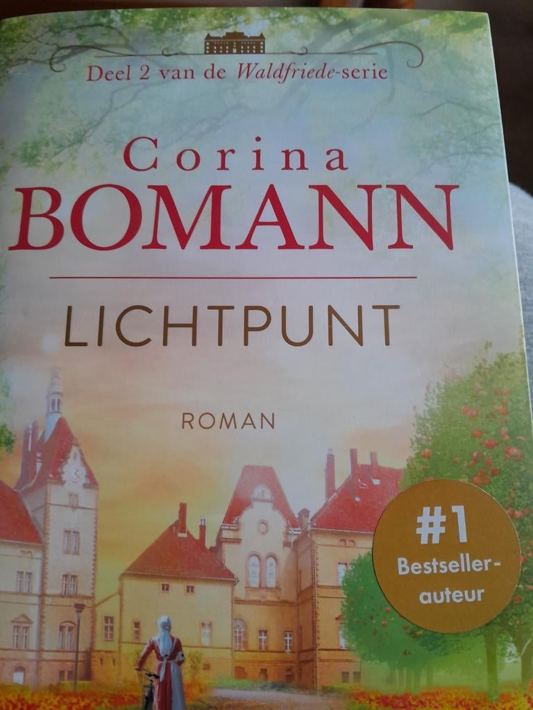 Lichtpunt - Corina Bomann (Deel 2 Waldfriede-serie), Boeken, Romans, Ophalen of Verzenden, Zo goed als nieuw, Corina Bomann