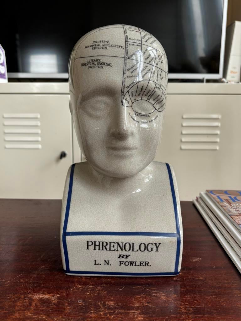 Phrenology bust, Ophalen