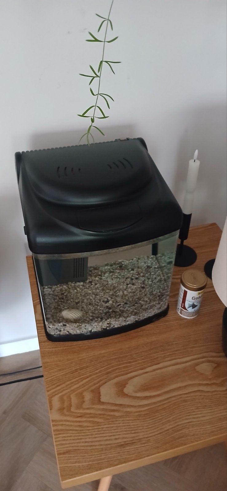 SuperFish aquarium met fluisterstille Juwel pomp, Ophalen, Gebruikt, Inclusief toebehoren, Leeg aquarium