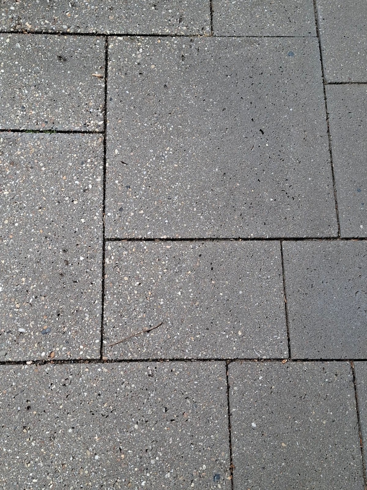 Gratis af te halen: Gebruikte terrastegels (ca. 62 m²), Ophalen