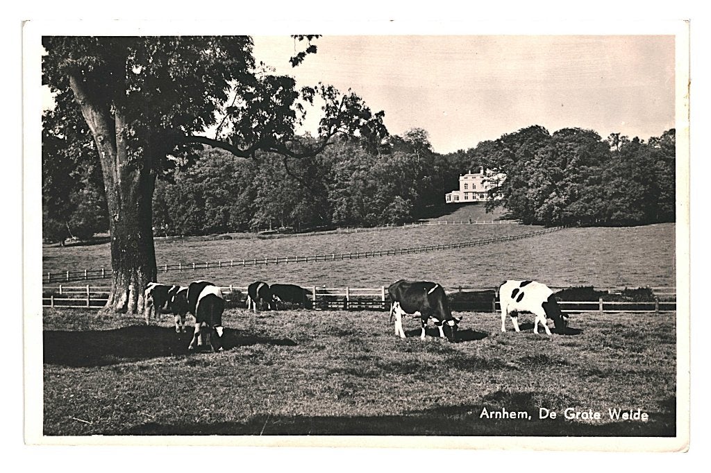 939674 Arnhem Gld Grote Weide 1954 Gelopen met postzegel, Ophalen of Verzenden, 1940 tot 1960, Gelopen, Gelderland