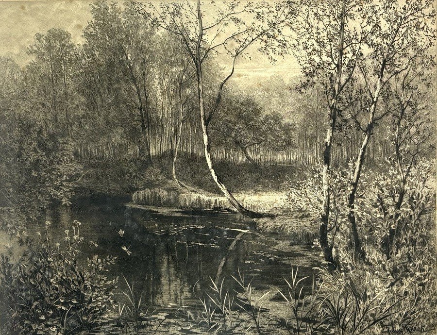193. Ets, Julius Mařák–"Lesní tůňka", Tsjechië, 19e eeuw, Ophalen, Ingelijst, Ets, Landschap