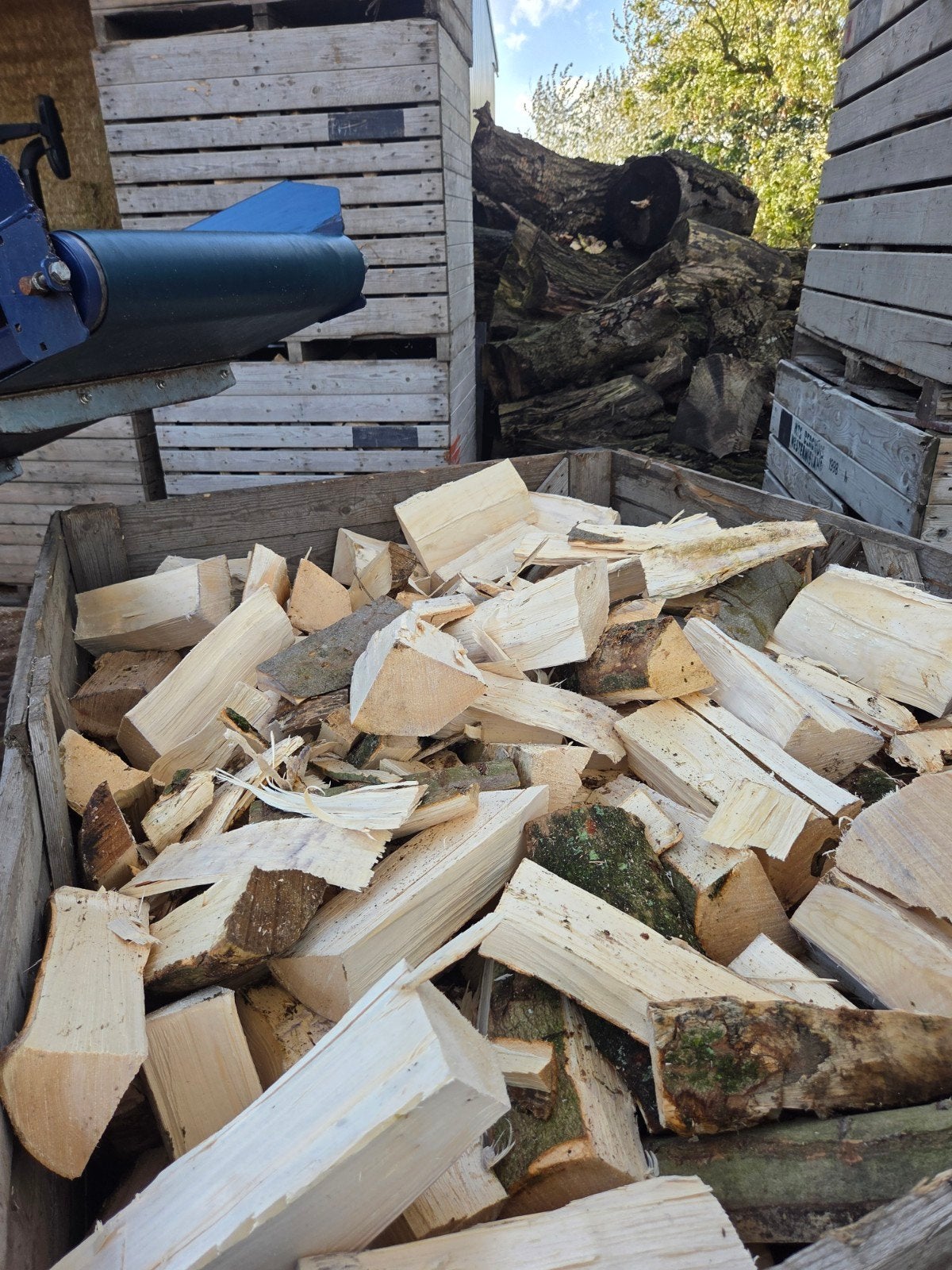 te koop Beuken  Openhaardhout, 6 m³ of meer, Ophalen of Verzenden, Beukenhout, Blokken