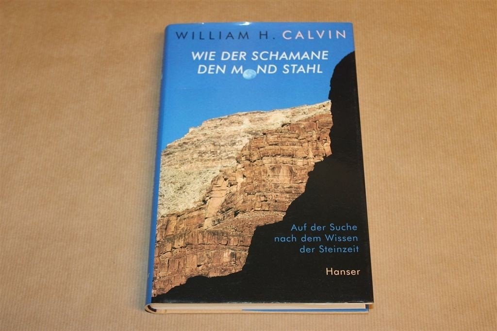 Steentijd Kennis — Evolutie van Menselijk Denken Calvin [DE], Boeken, Ophalen of Verzenden, Gelezen, Natuurwetenschap