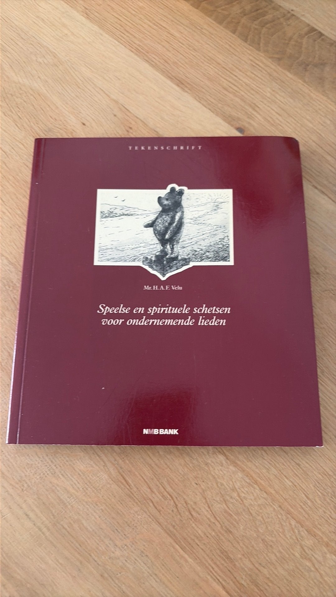Tekenschrift; Speelse en spirituele schetsen voor ondernemen, Ophalen of Verzenden, Gelezen