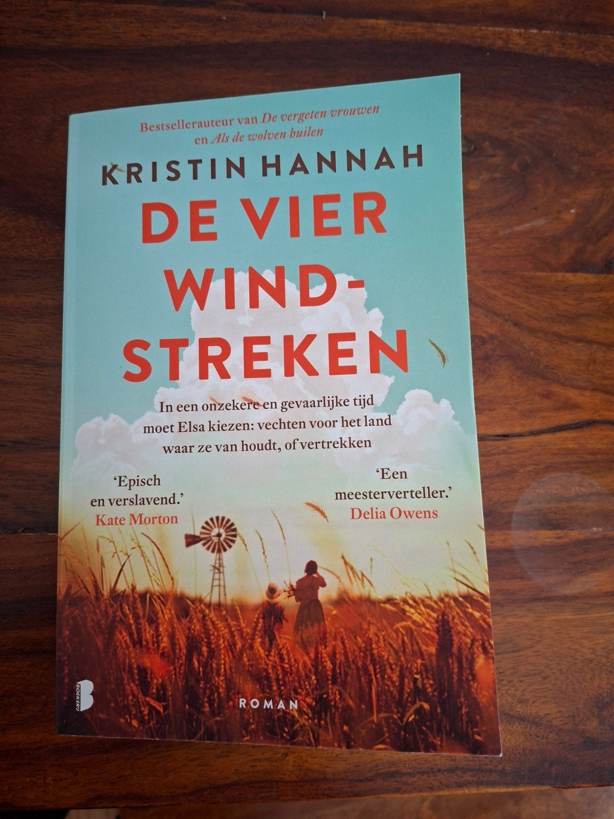 De vier windstreken   van Kristin Hannah, Ophalen of Verzenden, Zo goed als nieuw