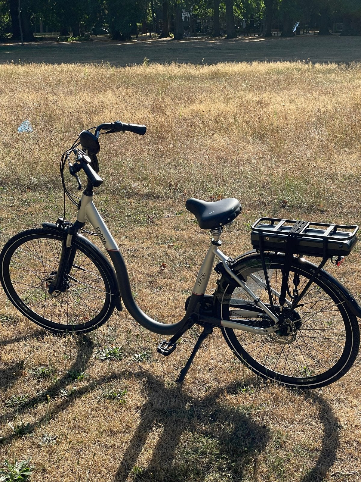 Forza Essenze Elektrische Fiets - Lage Opstap, Z.G.A.N., Minder dan 47 cm, Ophalen, Zo goed als nieuw, Overige merken