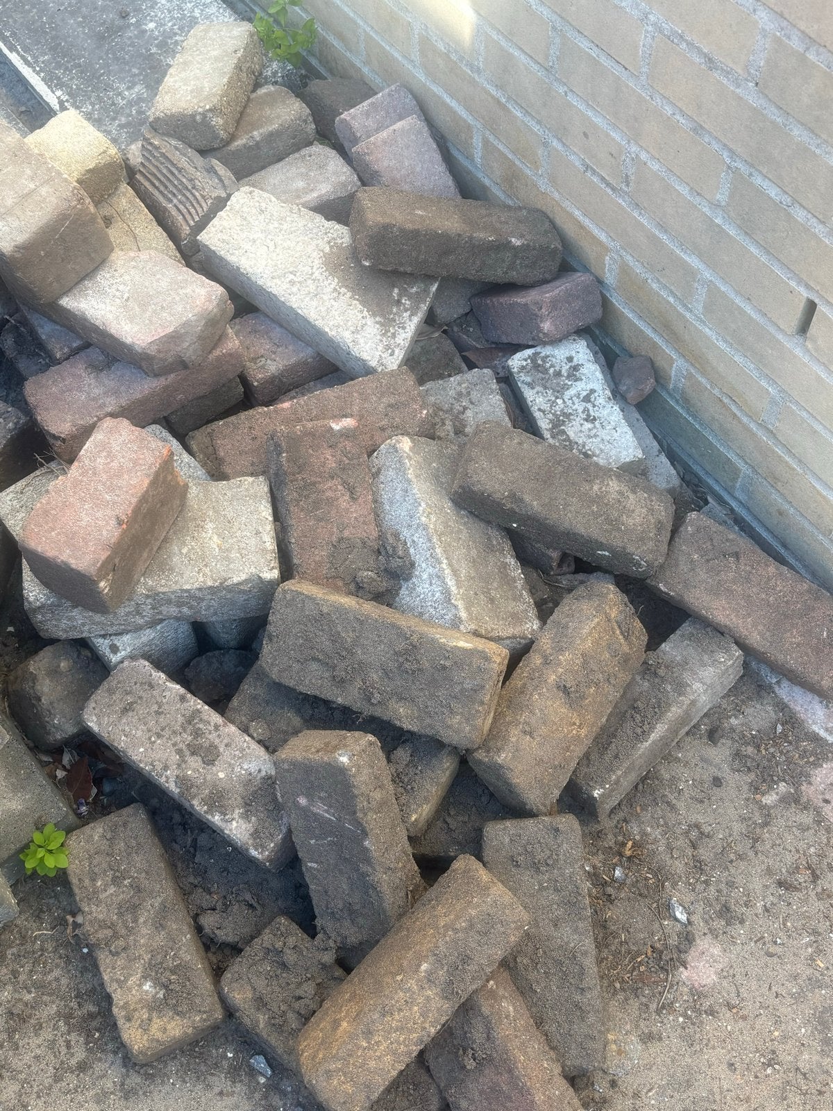 Diverse klinkers, ca. 11 m², op te halen in Lisse, Ophalen, Gebruikt, 10 m² of meer, Klinkers