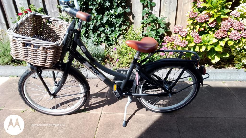 Kinderfiets 20 inch met mandje en goed slot, Fietsen en Brommers, Fietsen | Meisjes, Ophalen, Terugtraprem, Gebruikt, ALDO