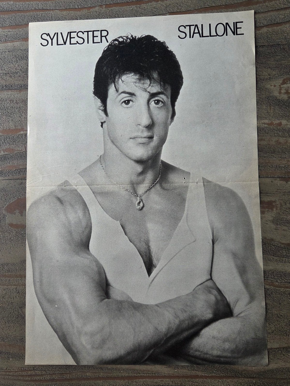 Vintage Sylvester Stallone Poster - Film & TV, Ophalen of Verzenden, Zo goed als nieuw, A1 t/m A3, Film en Tv