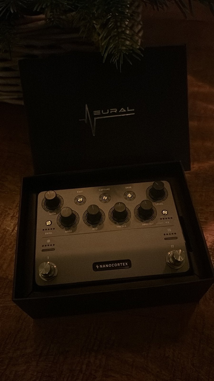 Te koop: DSP Nano Cortex, Muziek en Instrumenten, Ophalen of Verzenden, Zo goed als nieuw, Delay of Echo