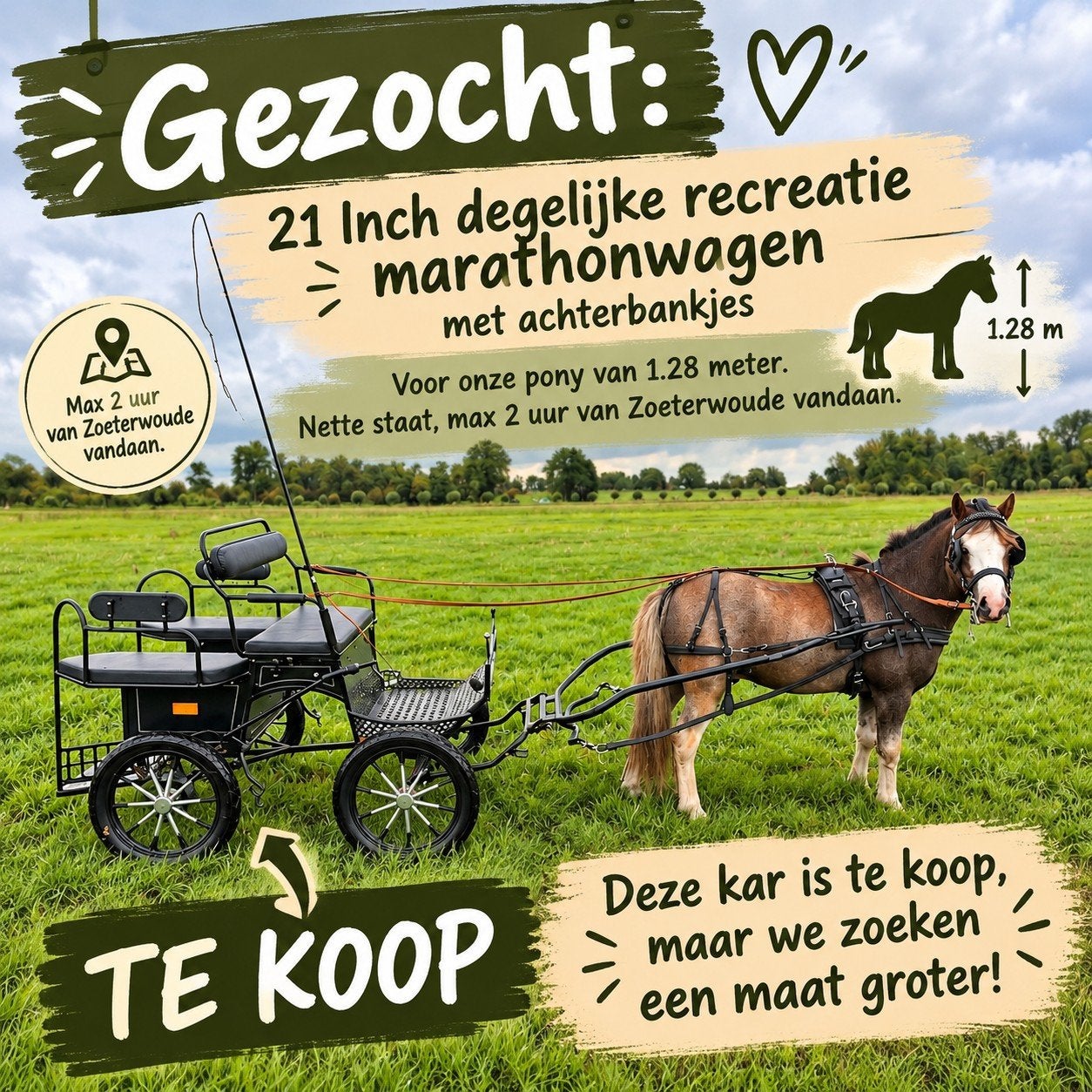 Te koop shetlander mini marathon recreatiewagen., Pony