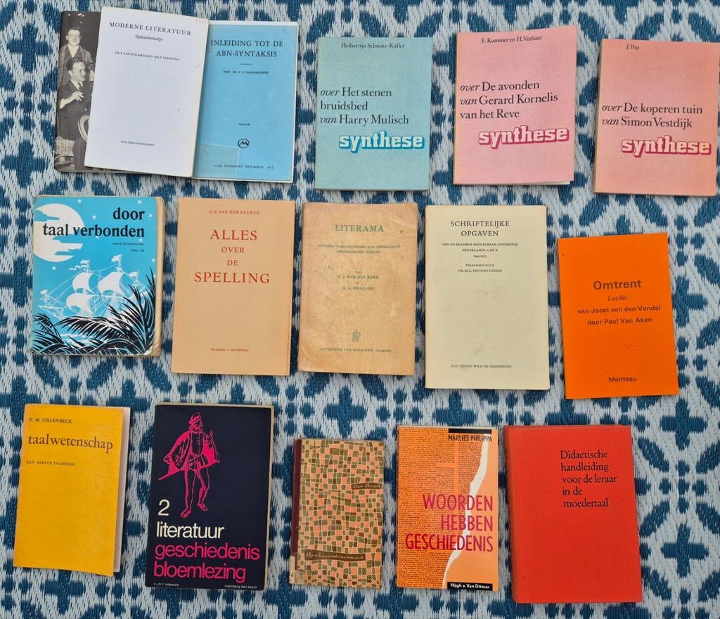Partij boeken Nederlandse taal en letterkunde 32 stuks, Boeken, Ophalen of Verzenden, Gelezen