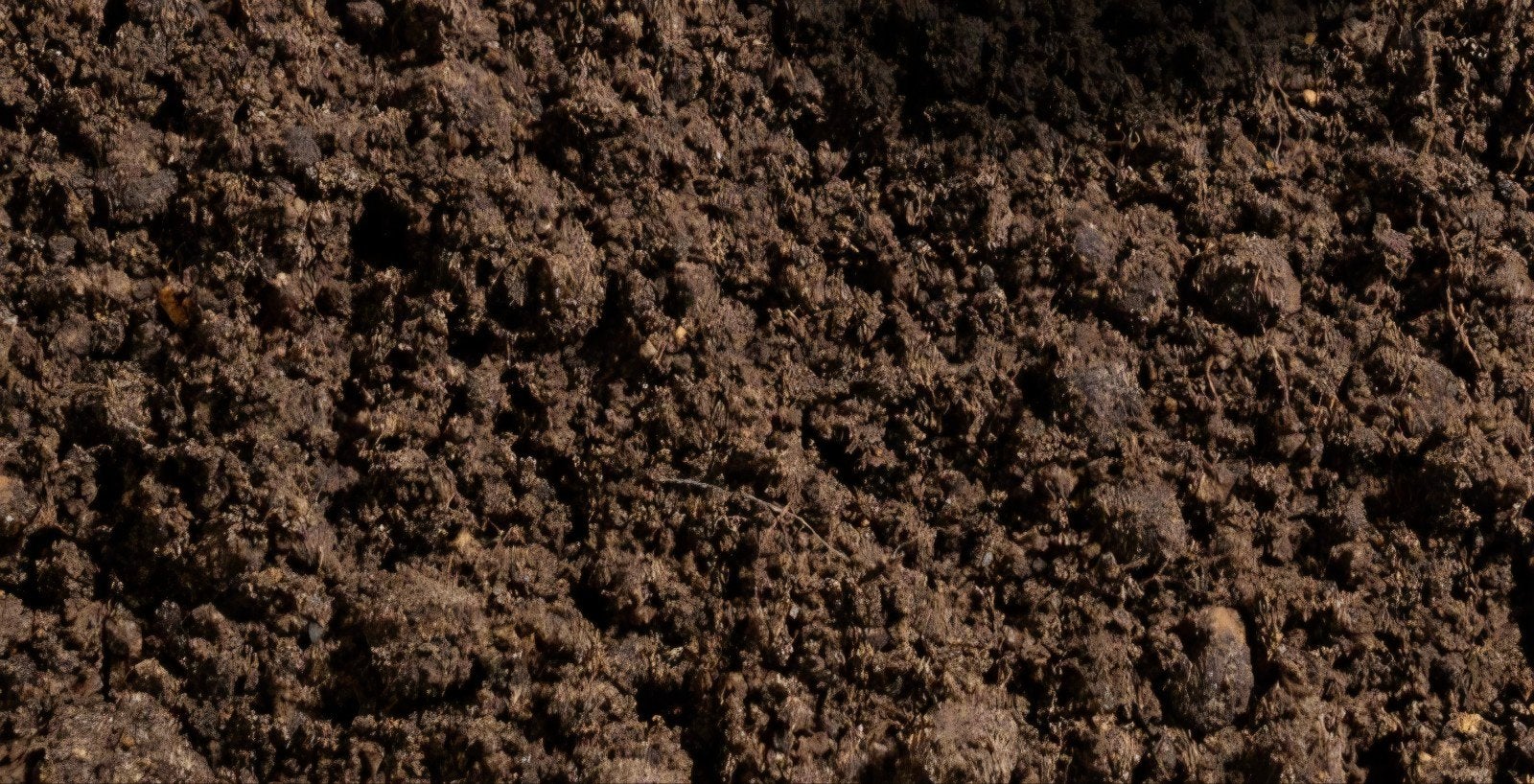 zand gevraagd, Tuin en Terras, Ophalen of Verzenden, Tuinaarde