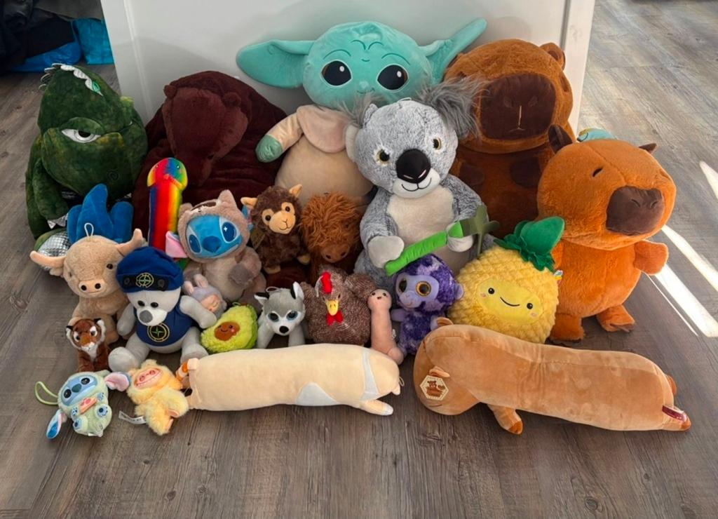 Grote collectie knuffels: van Baby Yoda tot koala, Kinderen en Baby's, Speelgoed | Knuffels en Pluche, Ophalen, Overige merken