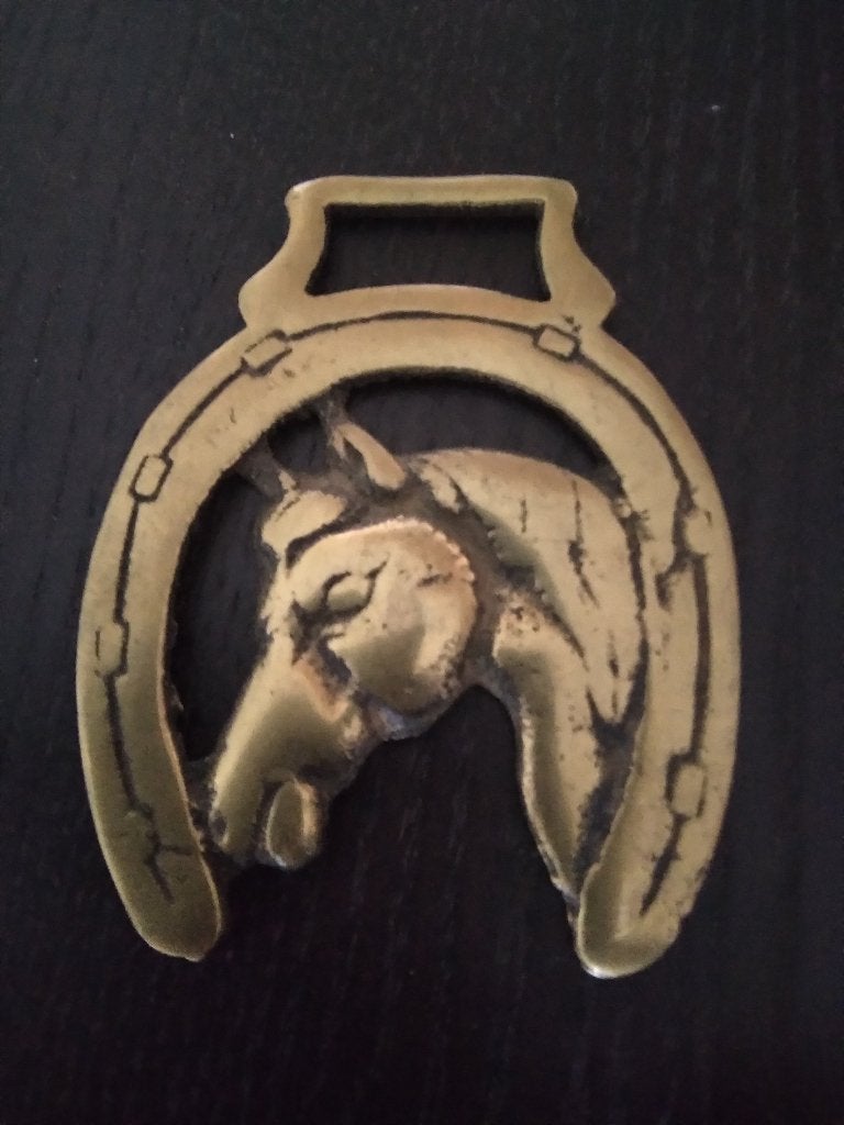Vintage wanddecoratie hoefijzer en  paardenhoofd, 6 cm, Metaal, Gebruikt, Verzenden