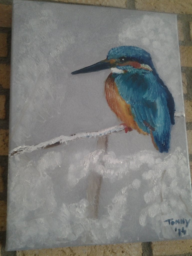 ijsvogel in de sneeuw, Ophalen of Verzenden