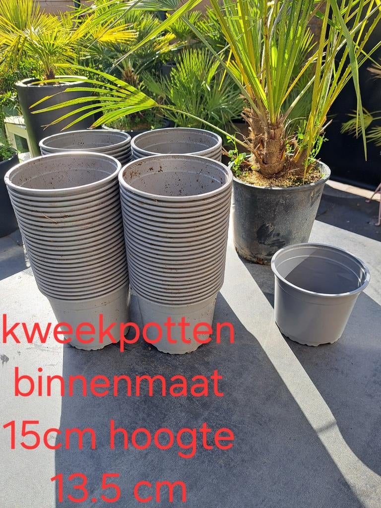 Kweekpotten 15.5 cm diameter, 13.5 cm hoog, 100 stuks, Ophalen of Verzenden, Rond, Kunststof, Minder dan 30 cm