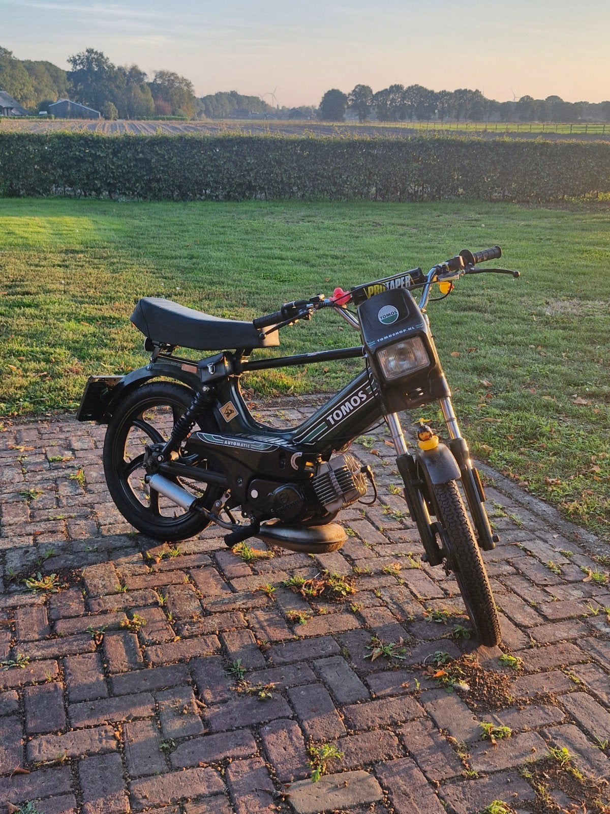 Tomos qaudro e start a35 65cc +extra onderdelen op kenteken, Ophalen, Maximaal 45 km/u, 65 cc, 0 versnellingen