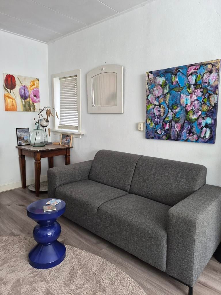 2 ,5 zitsbank, Ophalen, Gebruikt, 150 tot 200 cm, Tweepersoons