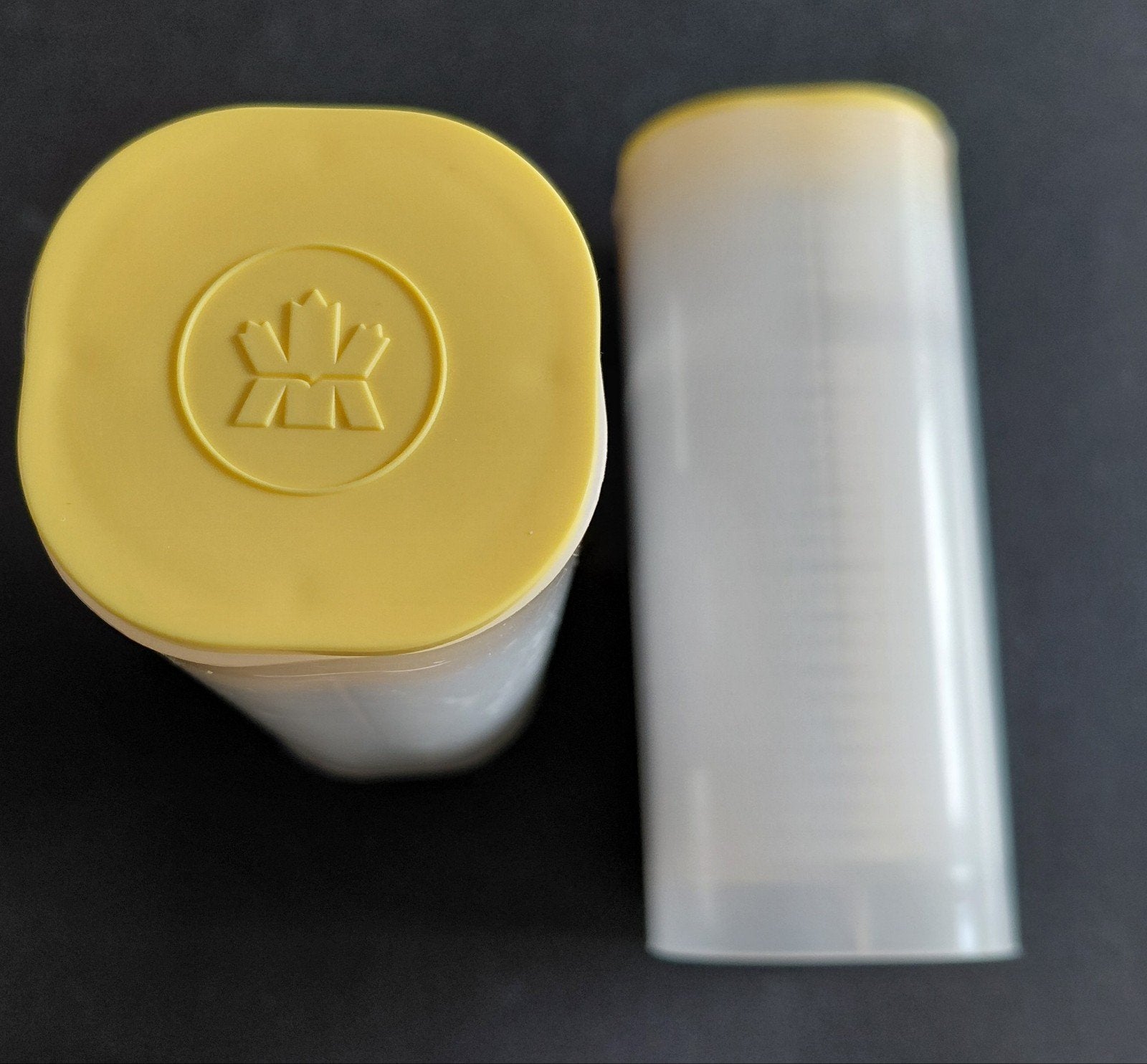 Canadese Maple Leaf 2026 tube 25 x 1 oz 999 zilver, Postzegels en Munten, Edelmetalen en Baren, Zilver, Ophalen of Verzenden