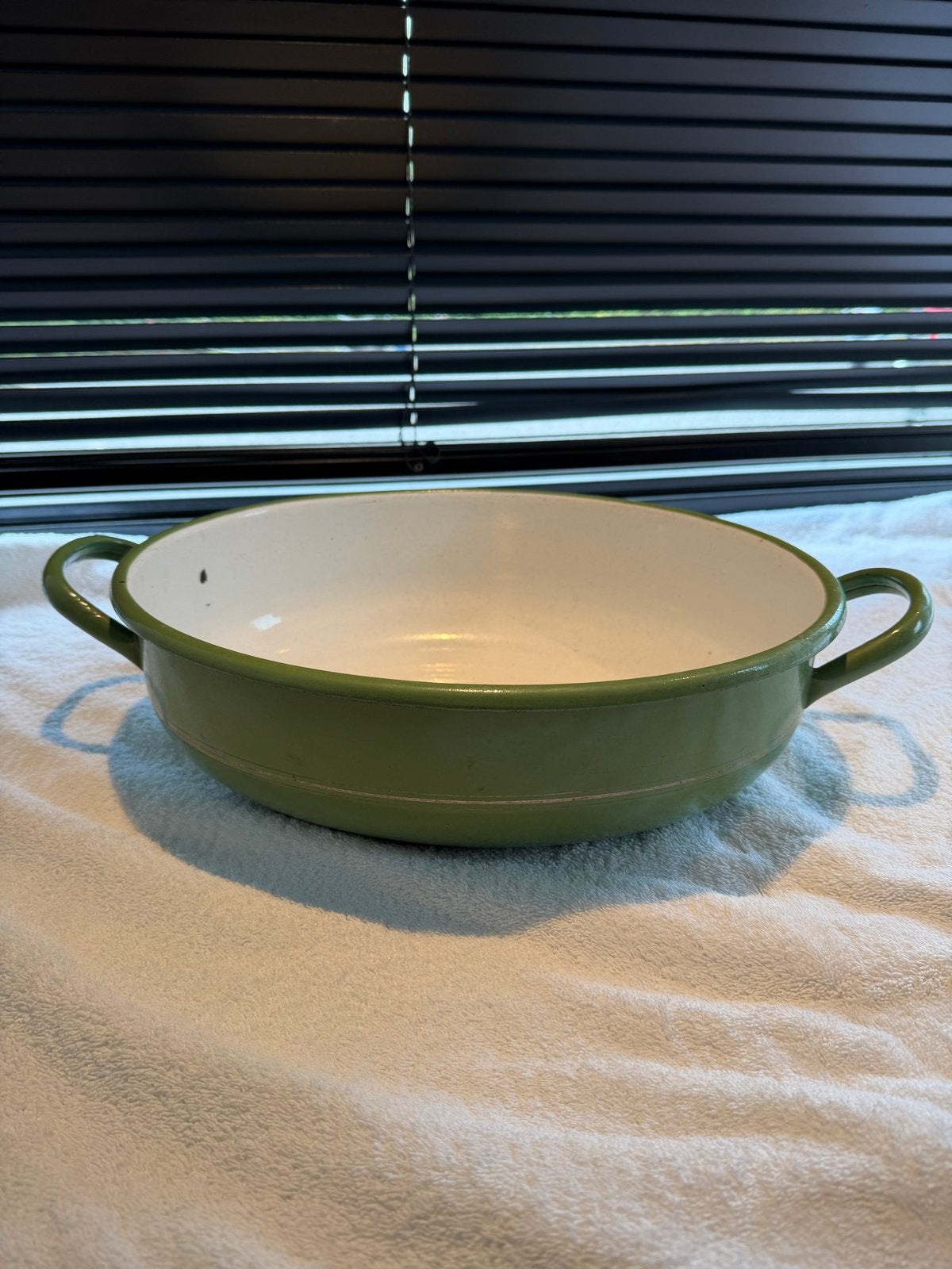 Vintage Groene Emaille Schaal met Handvatten- schoongemaakt, Ophalen of Verzenden