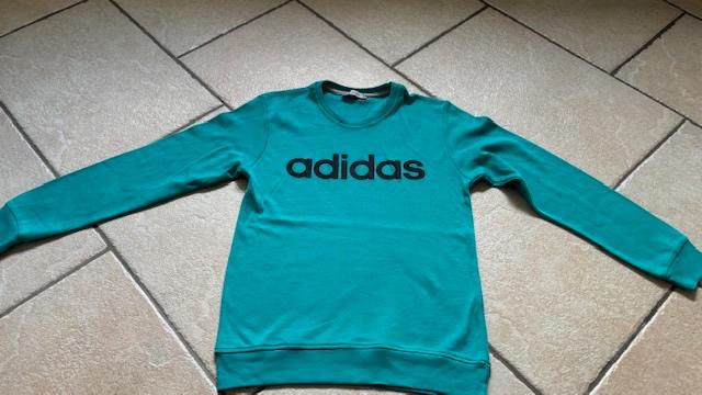 Sweatshirt, trui lange mouwen maat 164, Ophalen of Verzenden, Zo goed als nieuw, Jongen of Meisje, Shirt of Longsleeve