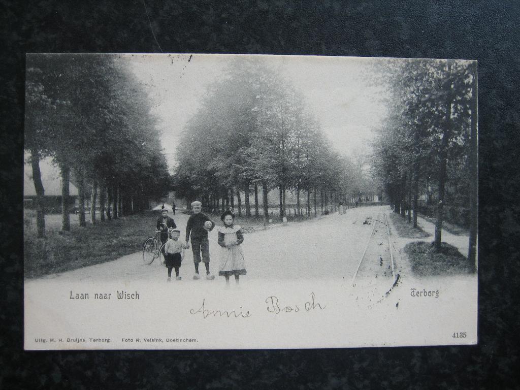 TERBORG Laan naar Wisch 1905 met tramrails, Ophalen of Verzenden, Voor 1920, Gelderland