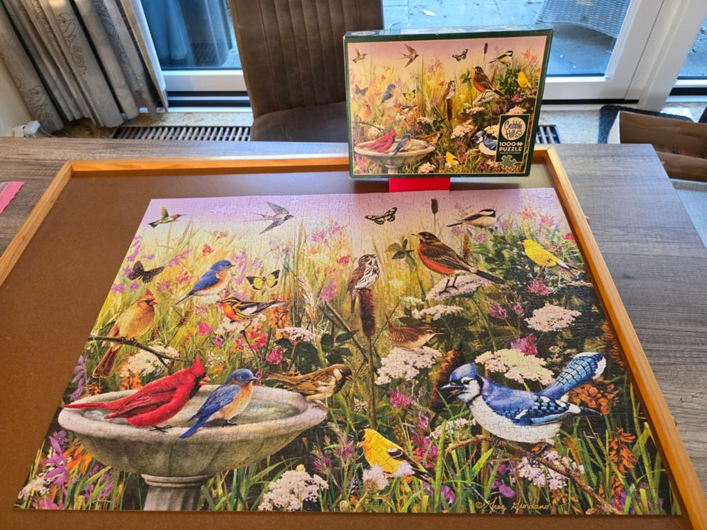 Puzzel Cobble Hill
Feathered friends, Hobby en Vrije tijd, Denksport en Puzzels, Ophalen of Verzenden, 500 t/m 1500 stukjes, Zo goed als nieuw