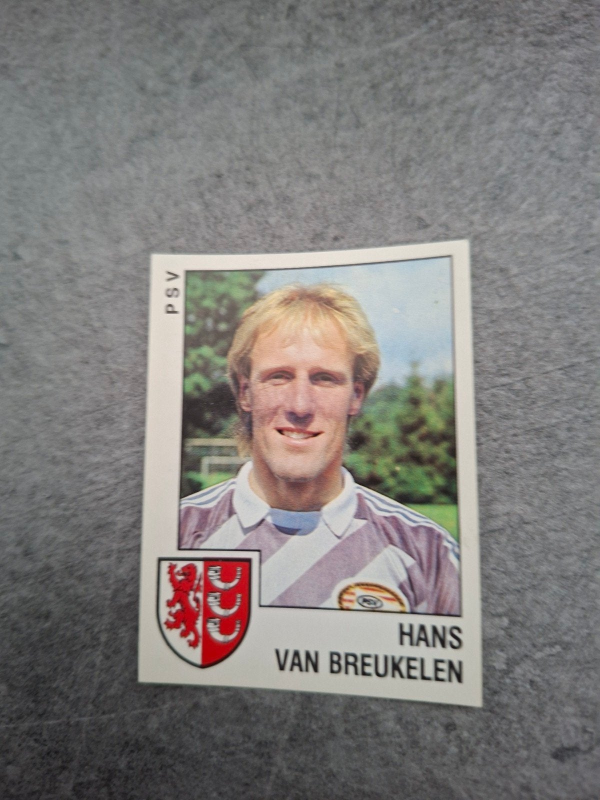 Panini sticker Voetbal 89. Hans van Breukelen PSV Eindhoven., Ophalen of Verzenden, Zo goed als nieuw, Sticker