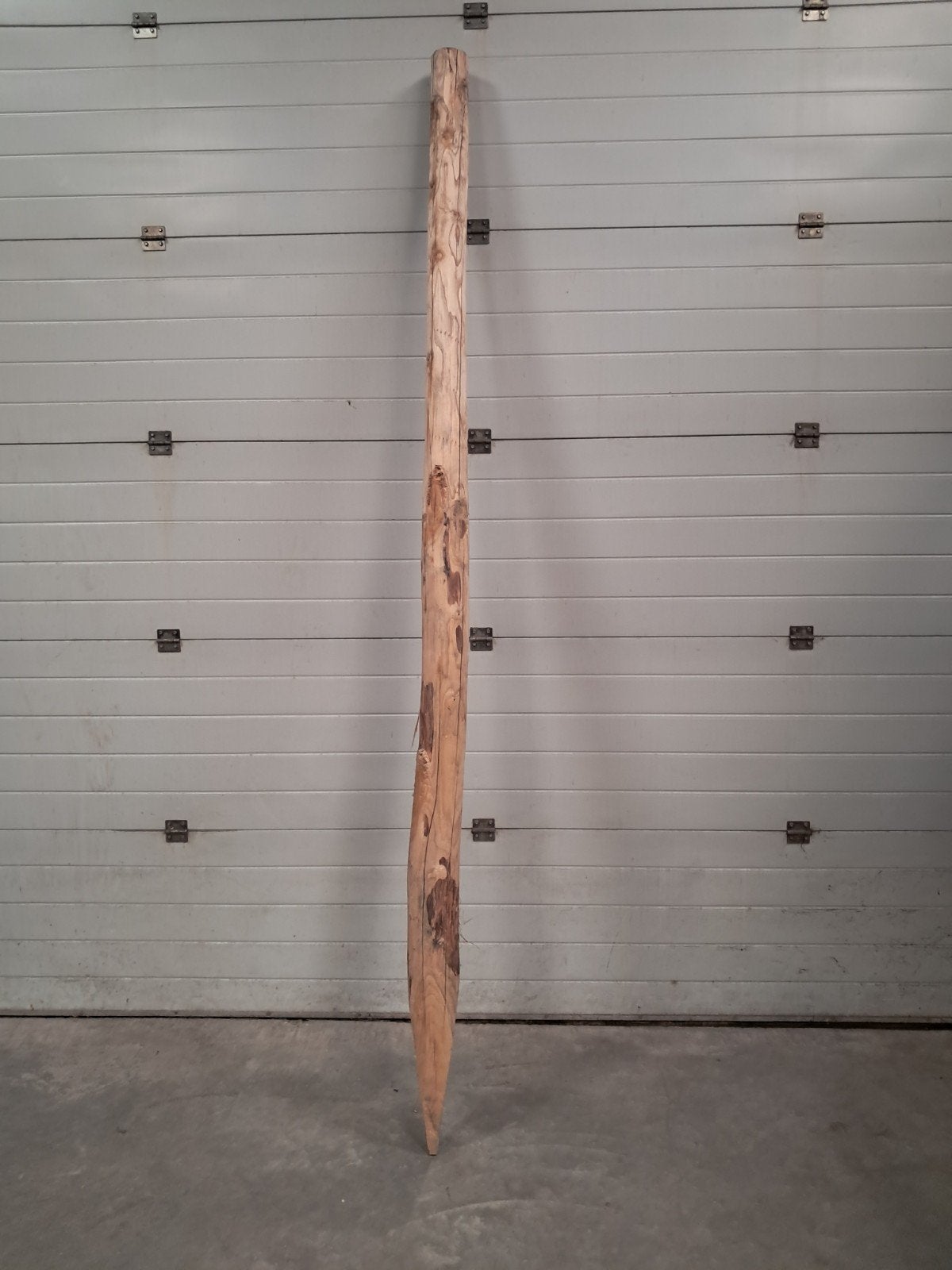 Kastanjepaal 12-14 cm, Ophalen, Nieuw, 250 cm of meer, Palen