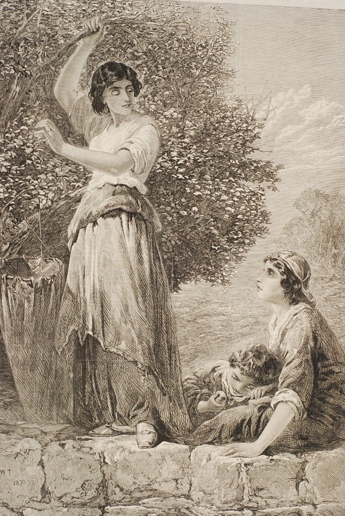 Moerbei bladeren oogsten - Originele illustratie uit 1870, Verzenden, Zo goed als nieuw, Voor 1940, Prent