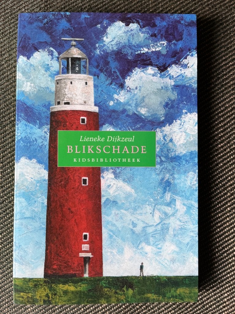 Lieneke Dijkzeul - Blikschade., Boeken, Ophalen of Verzenden, Zo goed als nieuw, Lieneke Dijkzeul