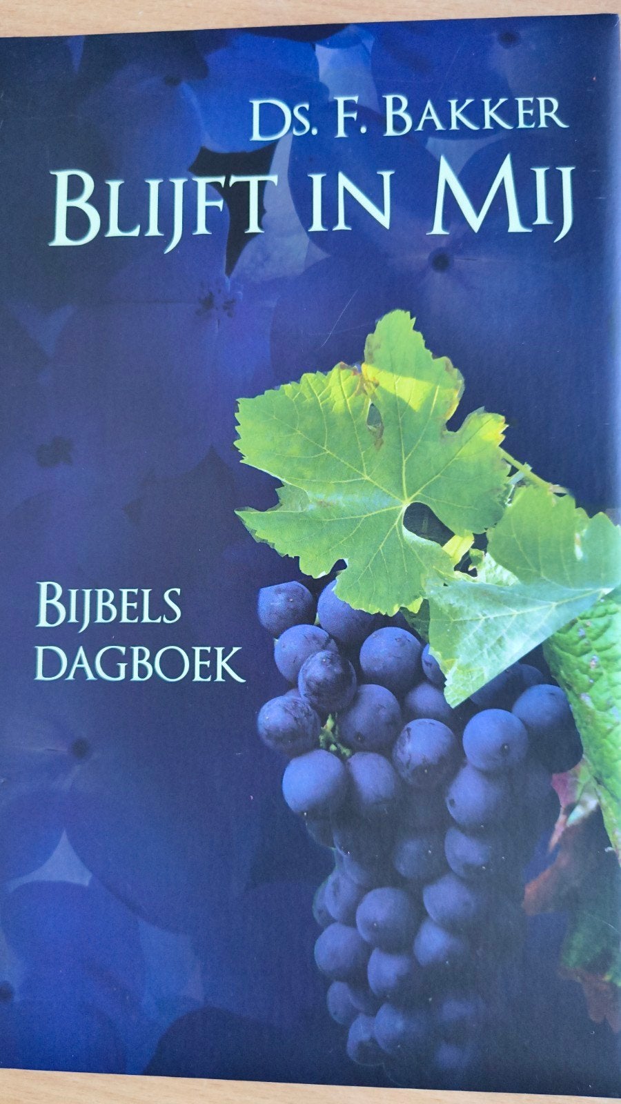 Blijft in Mij. Ds F Bakker, Christendom | Protestants, Ophalen of Verzenden, Zo goed als nieuw, Ds F Bakker / J Kranendonk-Gijssen
