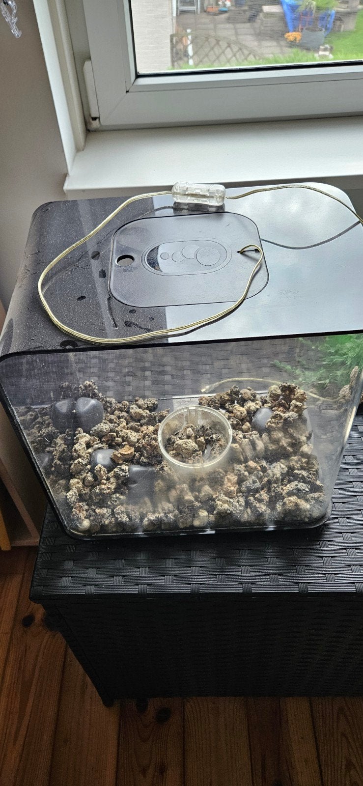 Biorb flow 30 aquarium zwart
veel accessoires, Dieren en Toebehoren, Ophalen, Gebruikt, Leeg aquarium, Overige merken