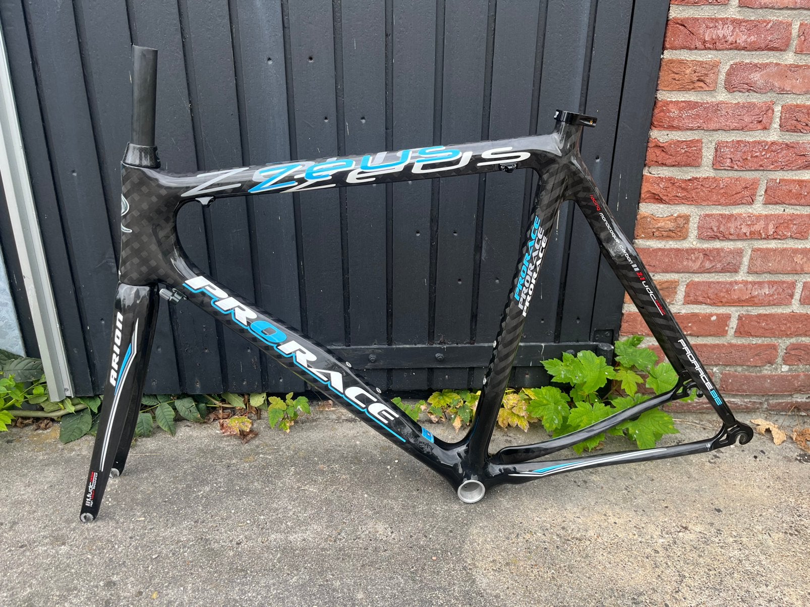 Prorace Zeus full carbon  Mt. 58 cm nieuw, Overige merken, 28 inch, Carbon, Nieuw