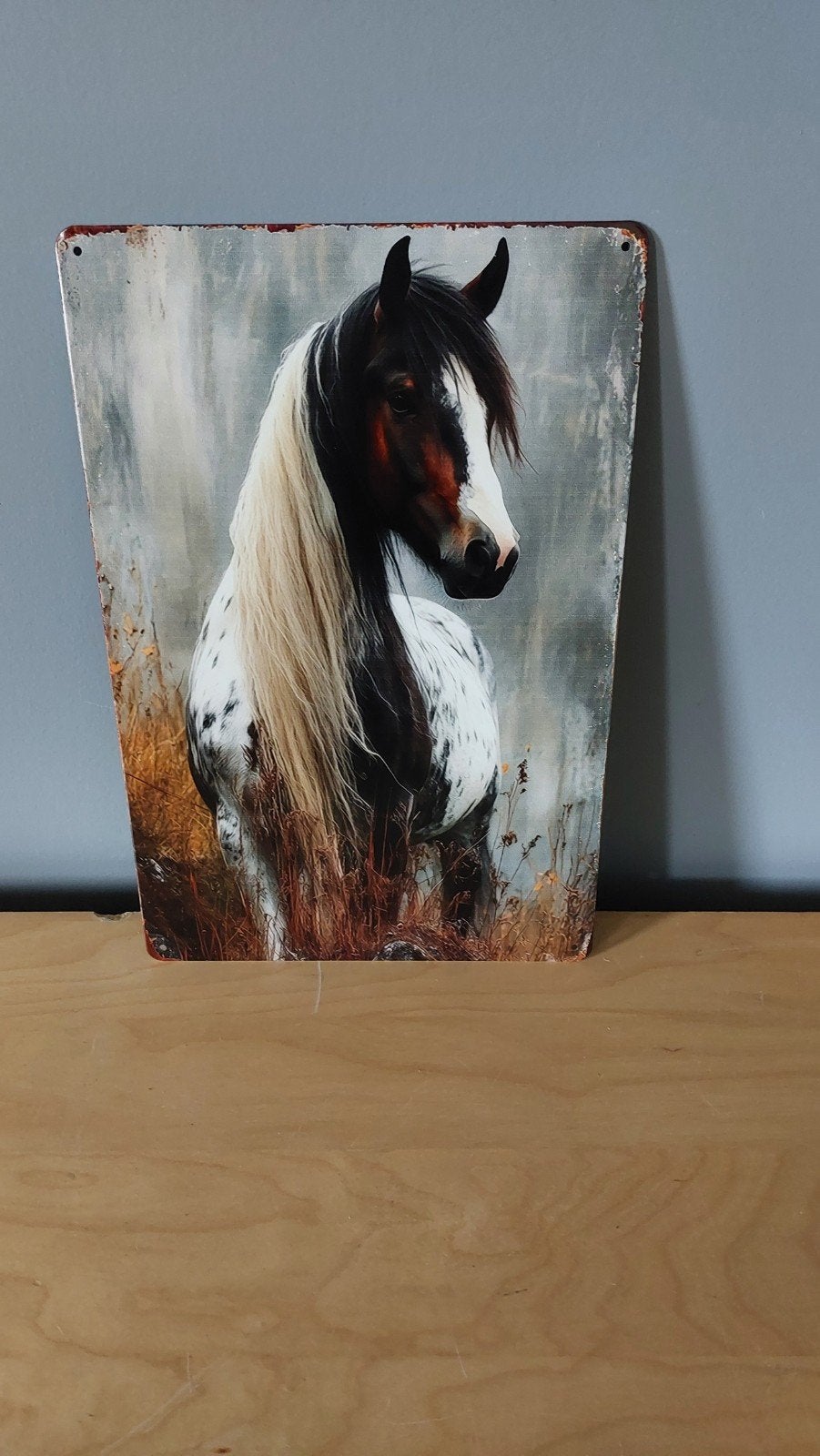 Decoratief bord met paard 20x30cm, Huis en Inrichting, Metaal, 30 cm, Industrieel, 20 cm