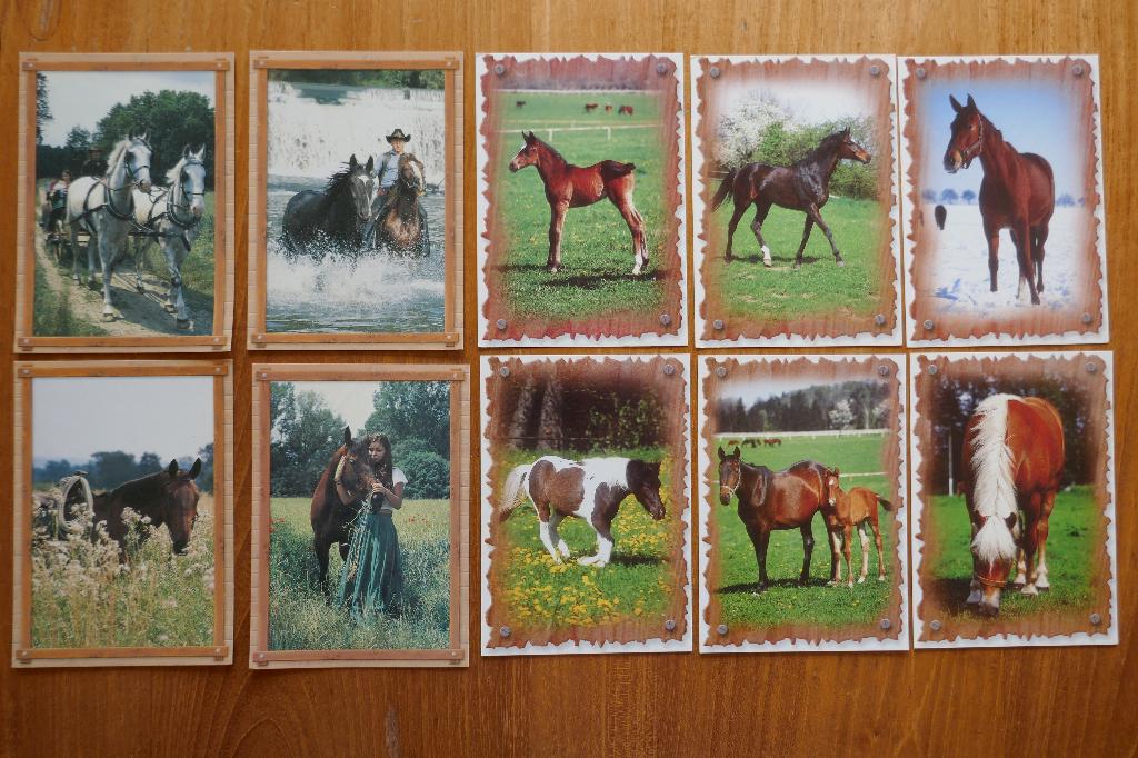 Set 10 ansichten Paard Pony Rijtuig Western Altin / Gregor, Ophalen of Verzenden, 1980 tot heden, Ongelopen, Paard