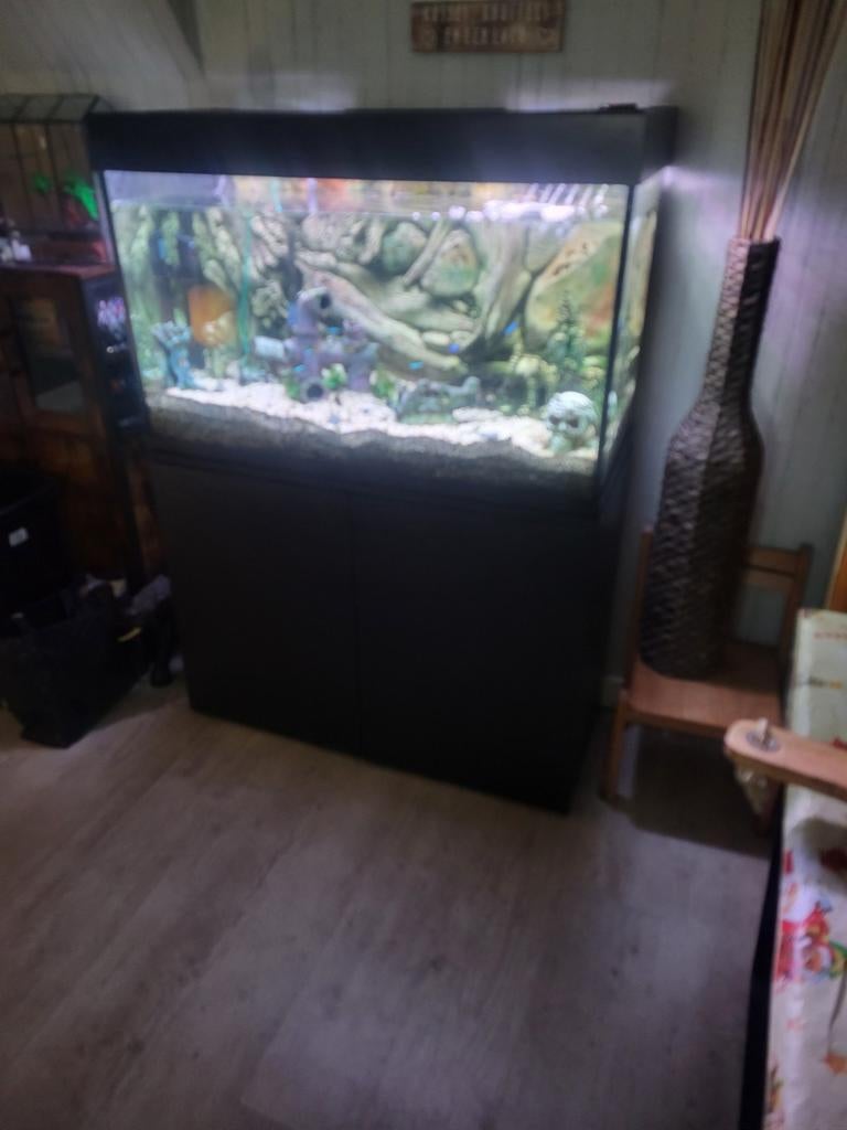 aquarium te koop 120x50x60, Vis