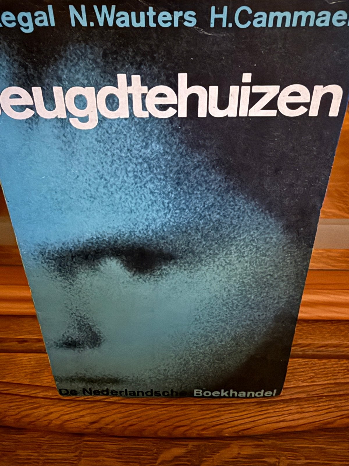 Jeugdtehuizen - N. Wauters, H. Cammaer, Ophalen of Verzenden, Zo goed als nieuw