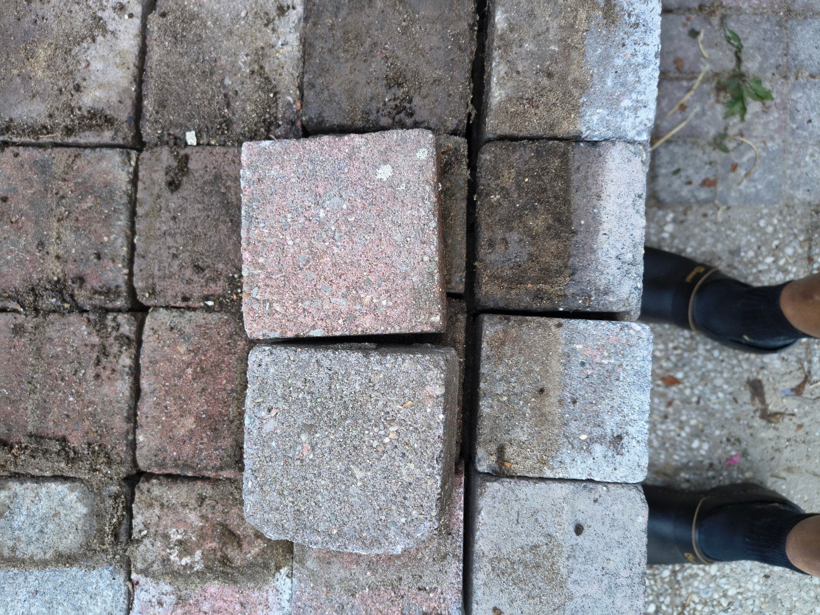 Gratis gebruikte betonklinkers voor tuin of oprit, Ophalen, Gebruikt, Klinkers, 5 tot 10 m²