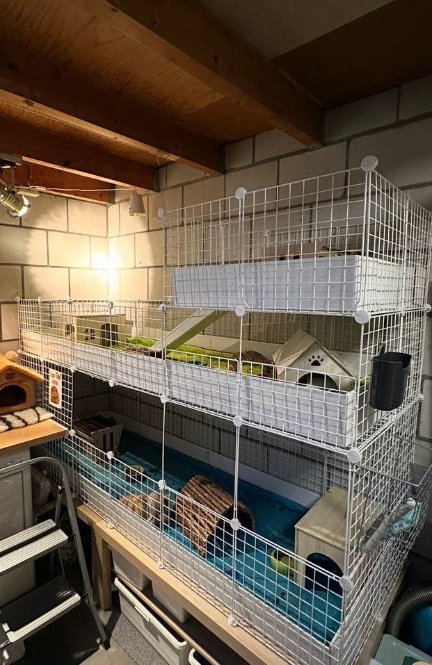 Officiële Draadkubus Cavia Kooi XXL, Dieren en Toebehoren, Knaagdieren en Konijnen | Hokken en Kooien, Ophalen, Kooi, 110 cm of meer
