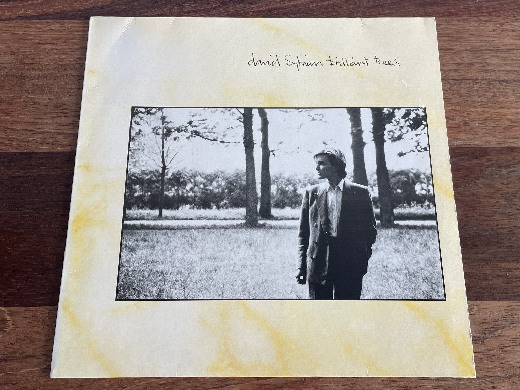 Vinyl LP David Sylvian Brilliant Trees ( Japan ) EU, LP, Gebruikt, Pop, Ophalen of Verzenden