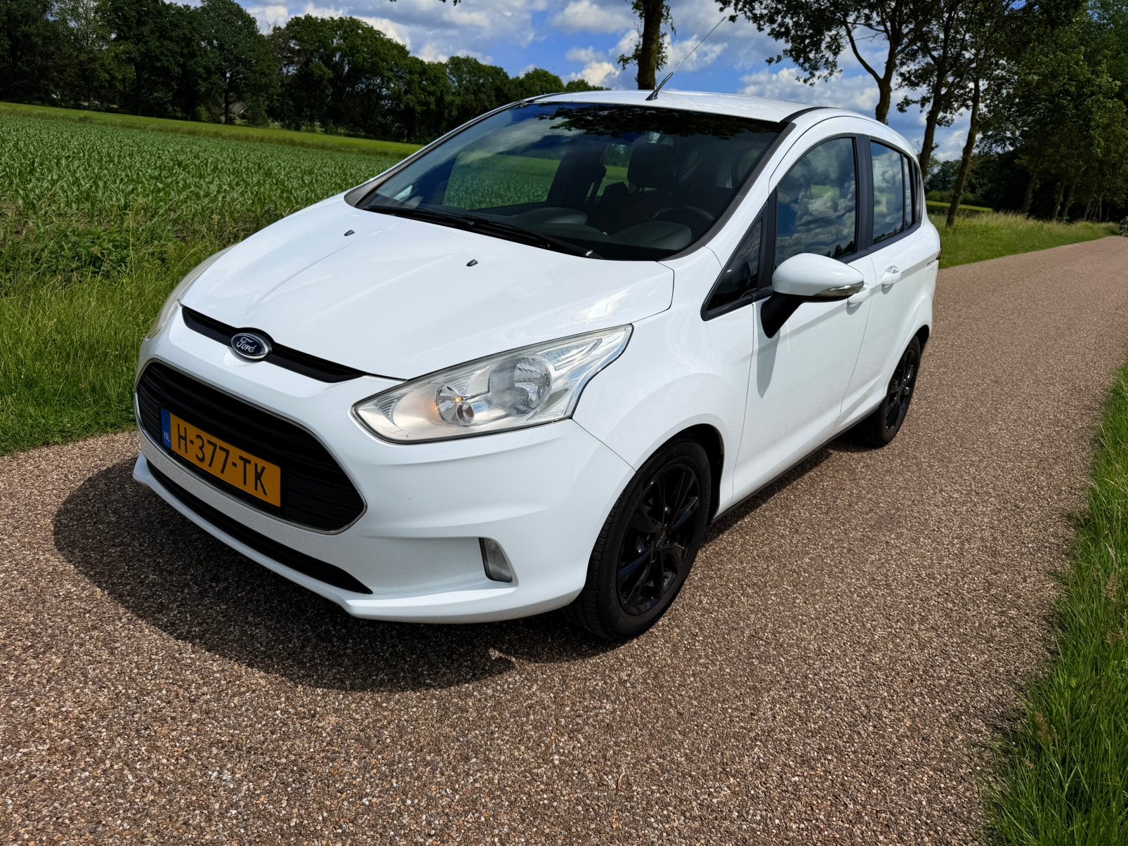 Ford B-Max 1.0 Titanium, Vol opties, Inruil mogelijk, Voorwielaandrijving, Euro 5, Stof, 750 kg