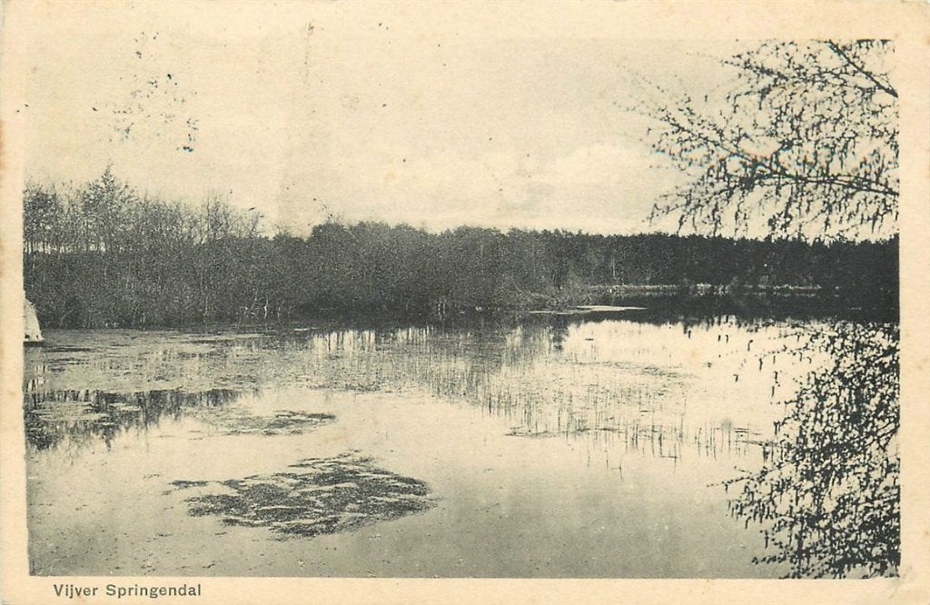 702-072-039 Ootmarsum  Vijver Springendal, Verzenden, Voor 1920, Overijssel