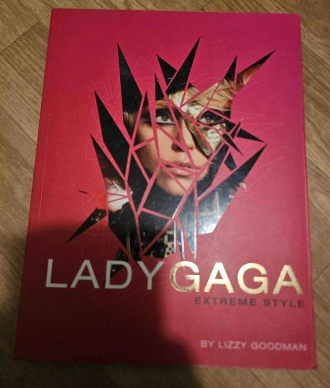 Lady Ga Ga Extreme Style By Lizzy Goodman, Ophalen of Verzenden, Zo goed als nieuw, Artiest