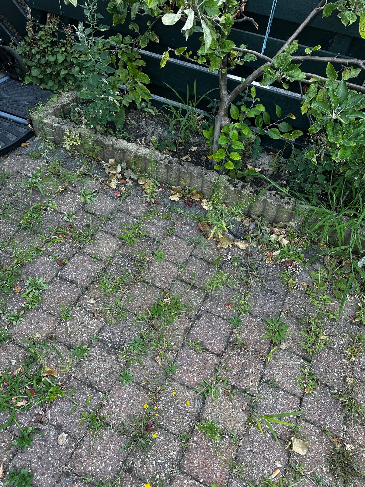 Gratis op te halen betonnen klinkers 3 kleuren in 2 maten, Ophalen, Gebruikt, Klinkers, 10 m² of meer