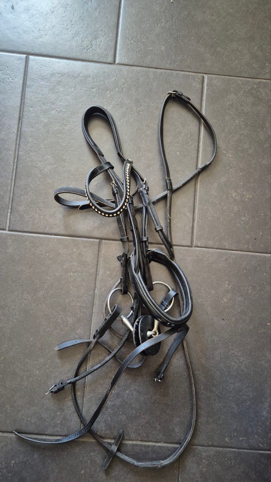 Diverse paardenspullen te koop, Ophalen of Verzenden, Nieuw
